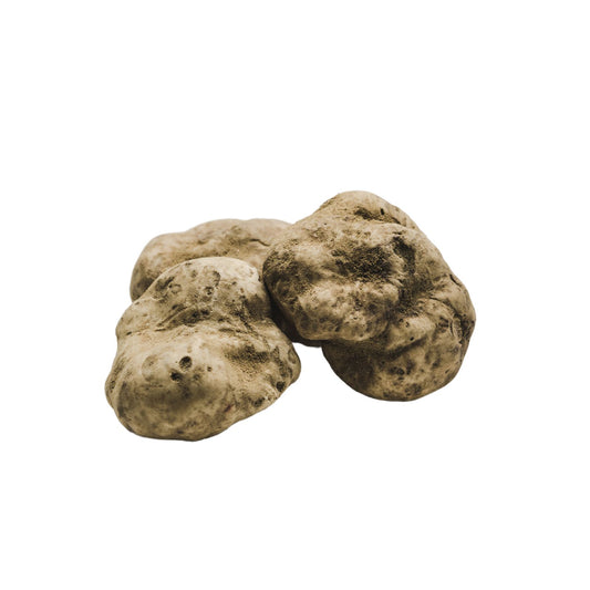 FRISCHER WEISSER TRÜFFEL - TUBER MAGNATUM PICO